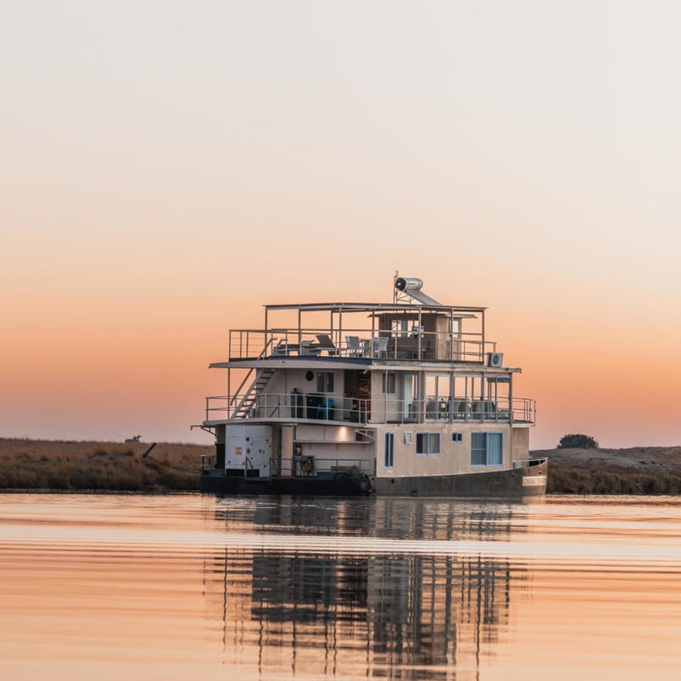 Chobe Princess By Mantis